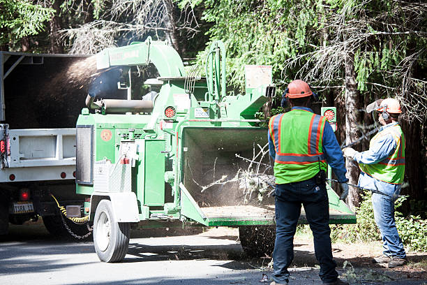 Best Tree Preservation Services  in Columbus, OH